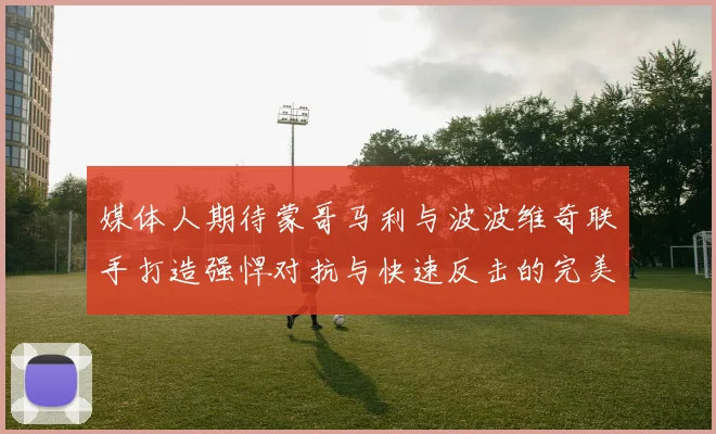 媒体人期待蒙哥马利与波波维奇联手打造强悍对抗与快速反击的完美结合